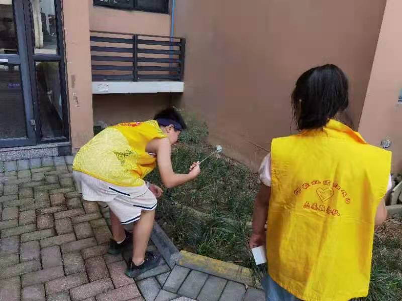 垃圾分类进社区志愿服务主题活动,垃圾分类再行动志愿活动方案