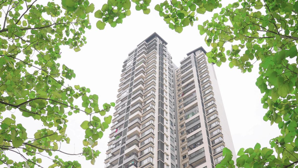 你们的小区绿化都是什么样的,小区绿化你觉得怎么样