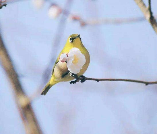 读10首春日诗词充满了希望和力量,最经典早春诗词