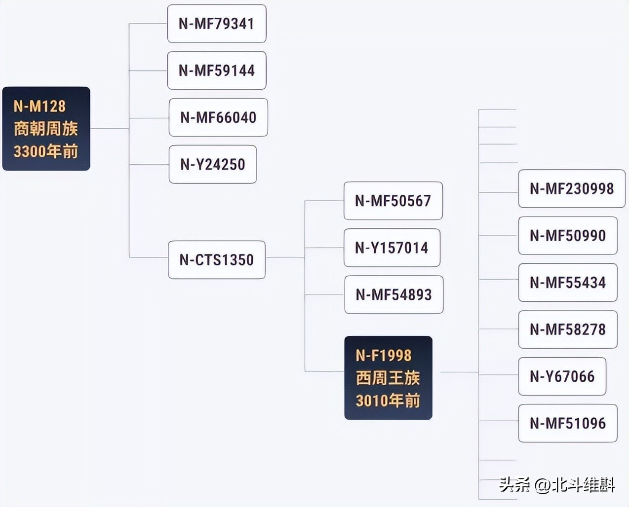 中国古dna研究能揭示古人起源吗,从dna看历朝历代