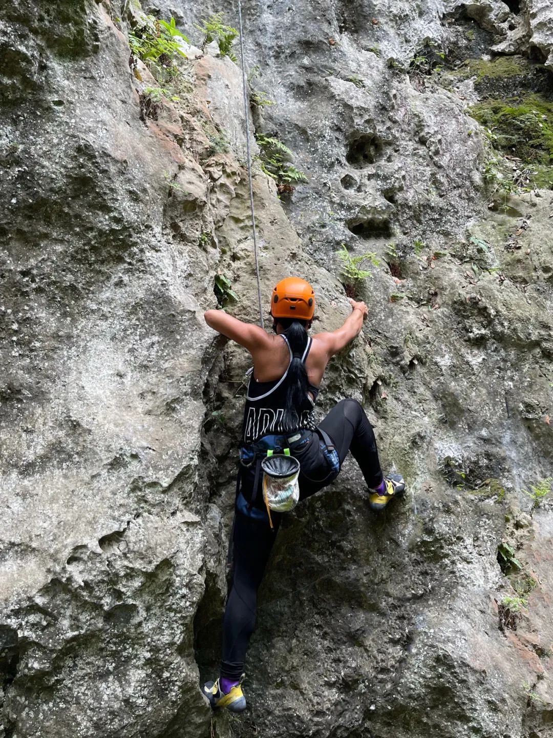 生活在公园城市,生活在公园城市里