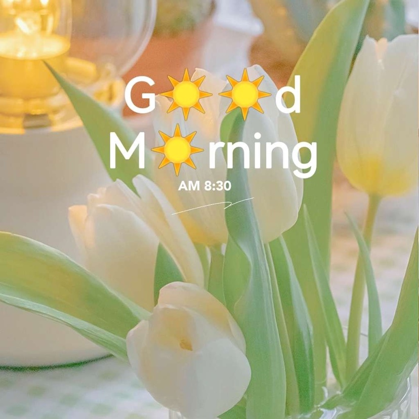 入秋天冷高情商早安语录,早安语录简短正能量天气冷