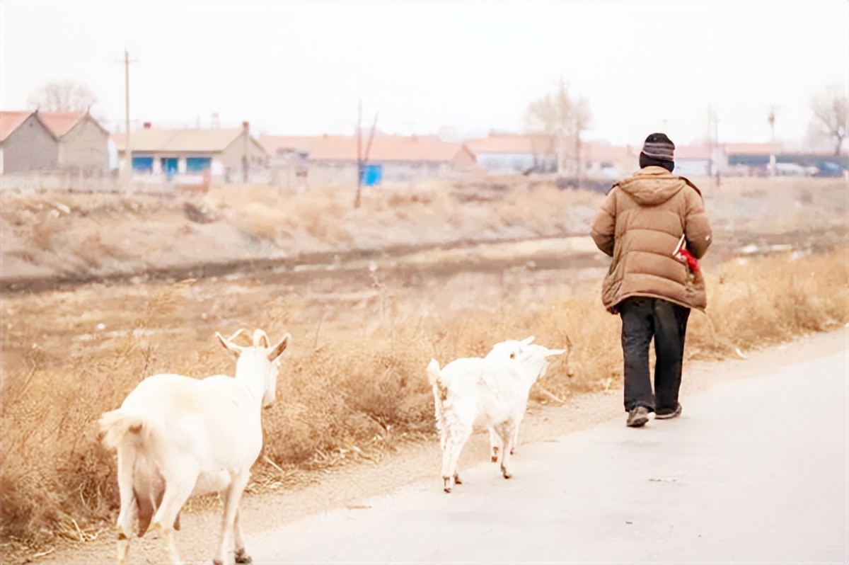 寿有三不过指什么,过寿不能三个年龄过是什么意思