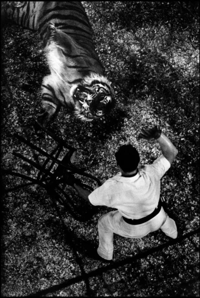 欢乐马戏团三个小丑,世界上最有名的小丑马戏团