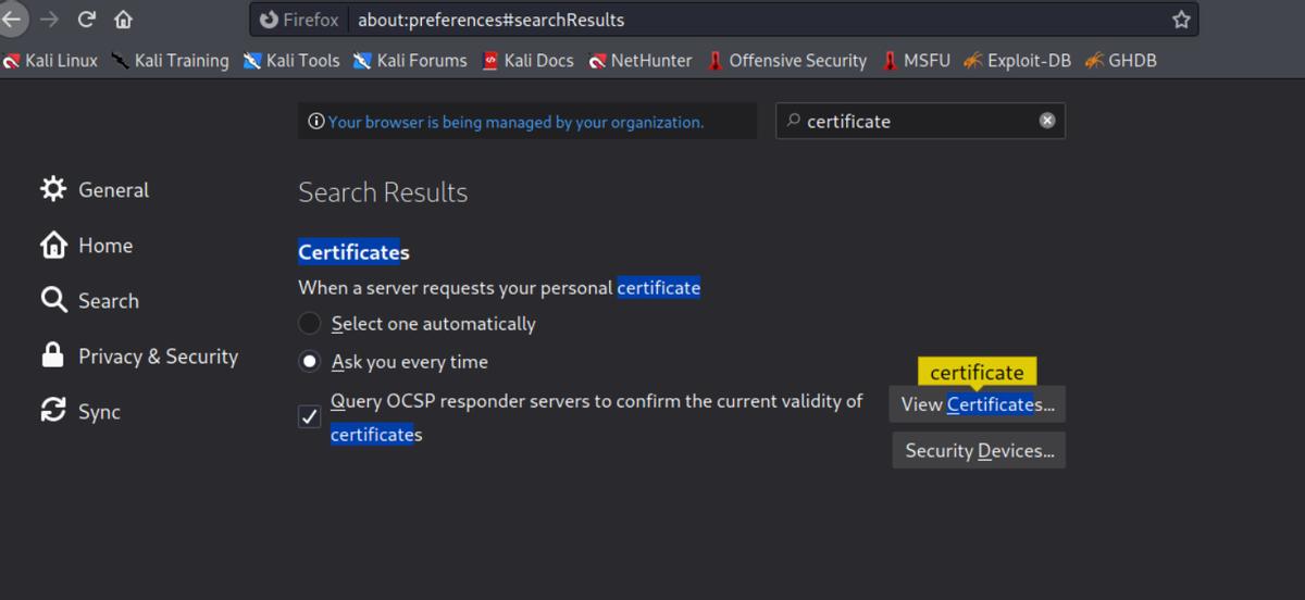 kali中burpsuite怎么汉化,kali里面自带burpsuite吗