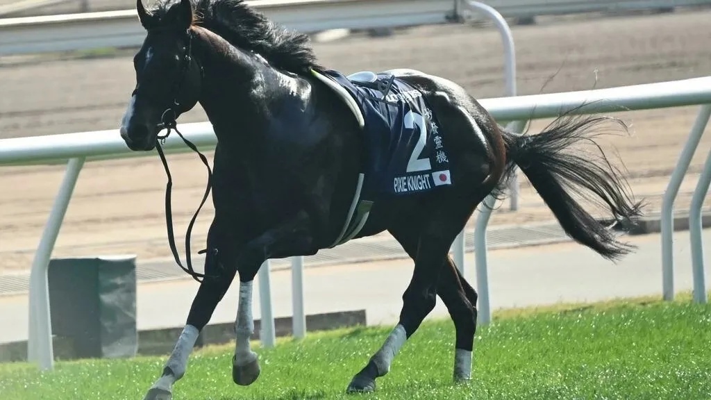 香港马拉松数百人受伤,香港两车相撞5死30多伤