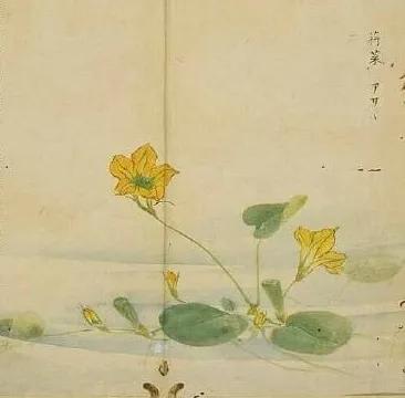 诗经陈风月出原文赏析,诗经陈风月出正确读音