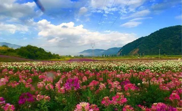 用QQ和微信发消息有什么不一样吗？