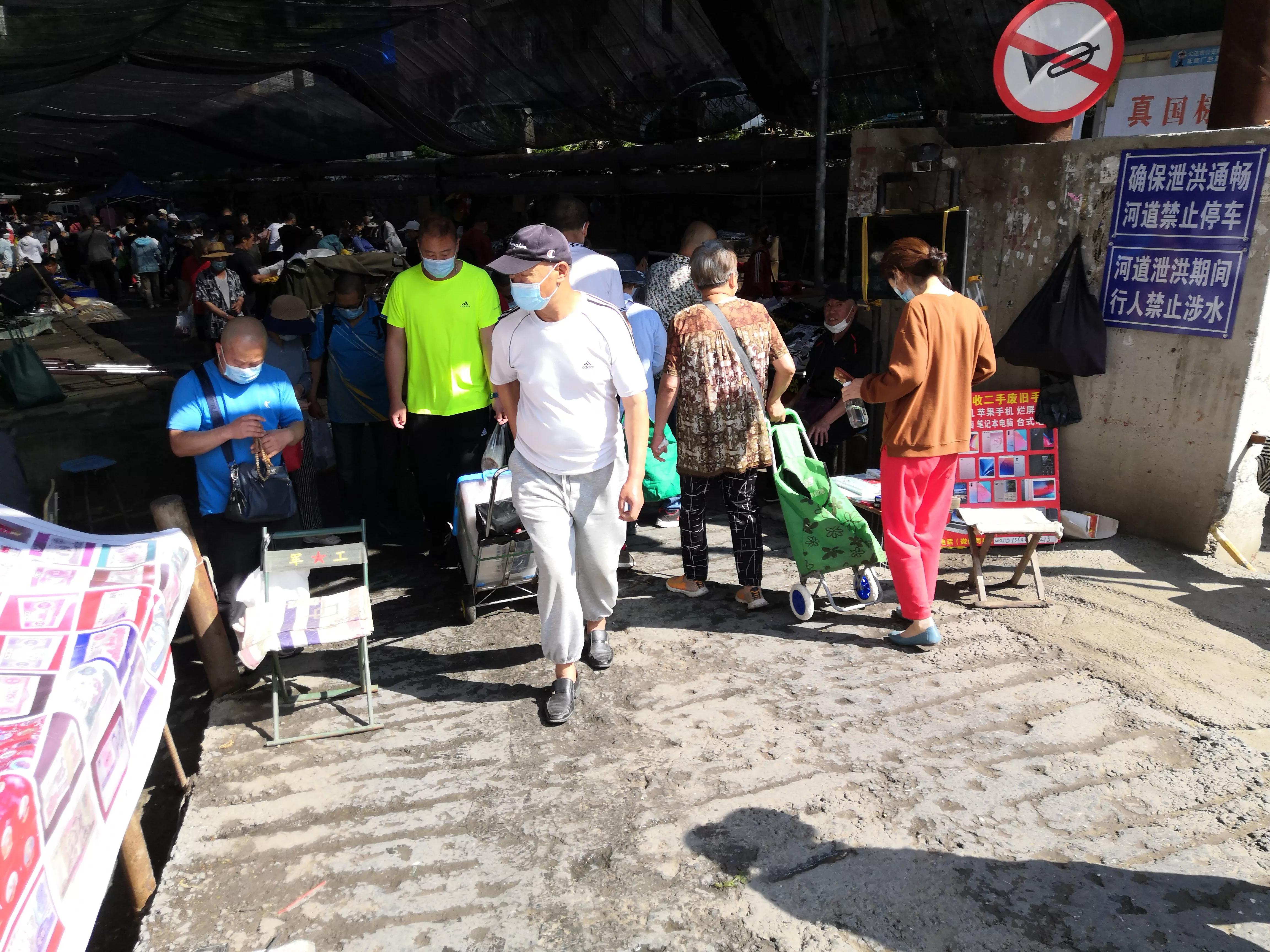 夜来风雨声花落知多少楷书,夜来风雨声花落知多少