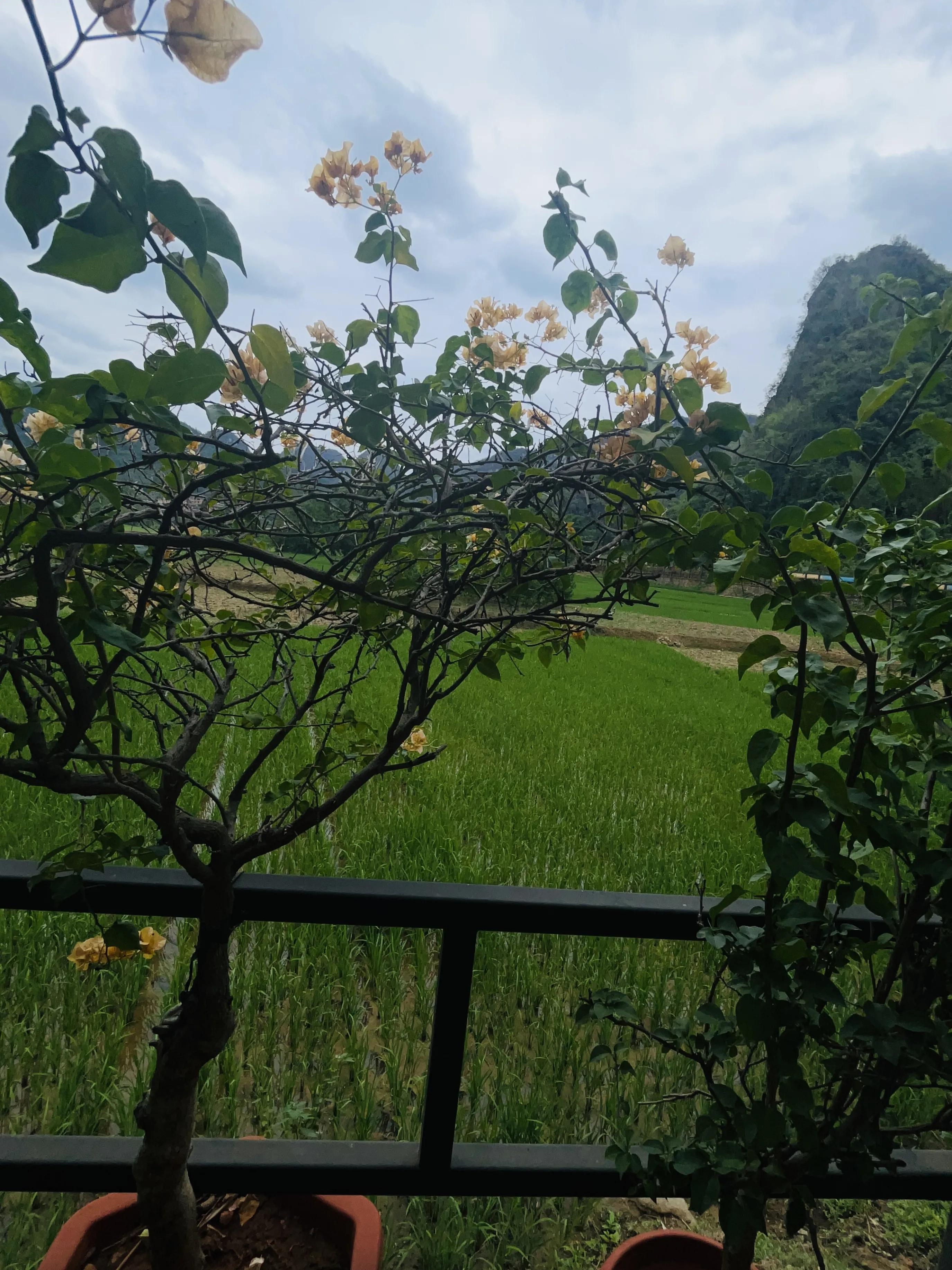 云南十天旅游,云南坝美旅游攻略