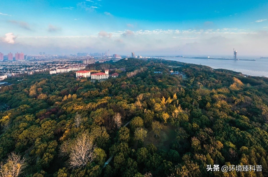 国家森林公园推荐,15个适合周末游的森林公园