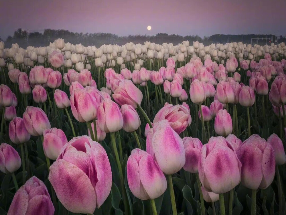 最惹不起的四大星座脾气大城府深,心思缜密能够洞悉别人内心的星座