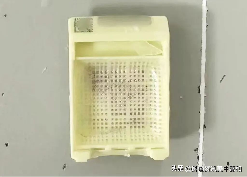 he切片和白片的区别,病理切片和白片的区别