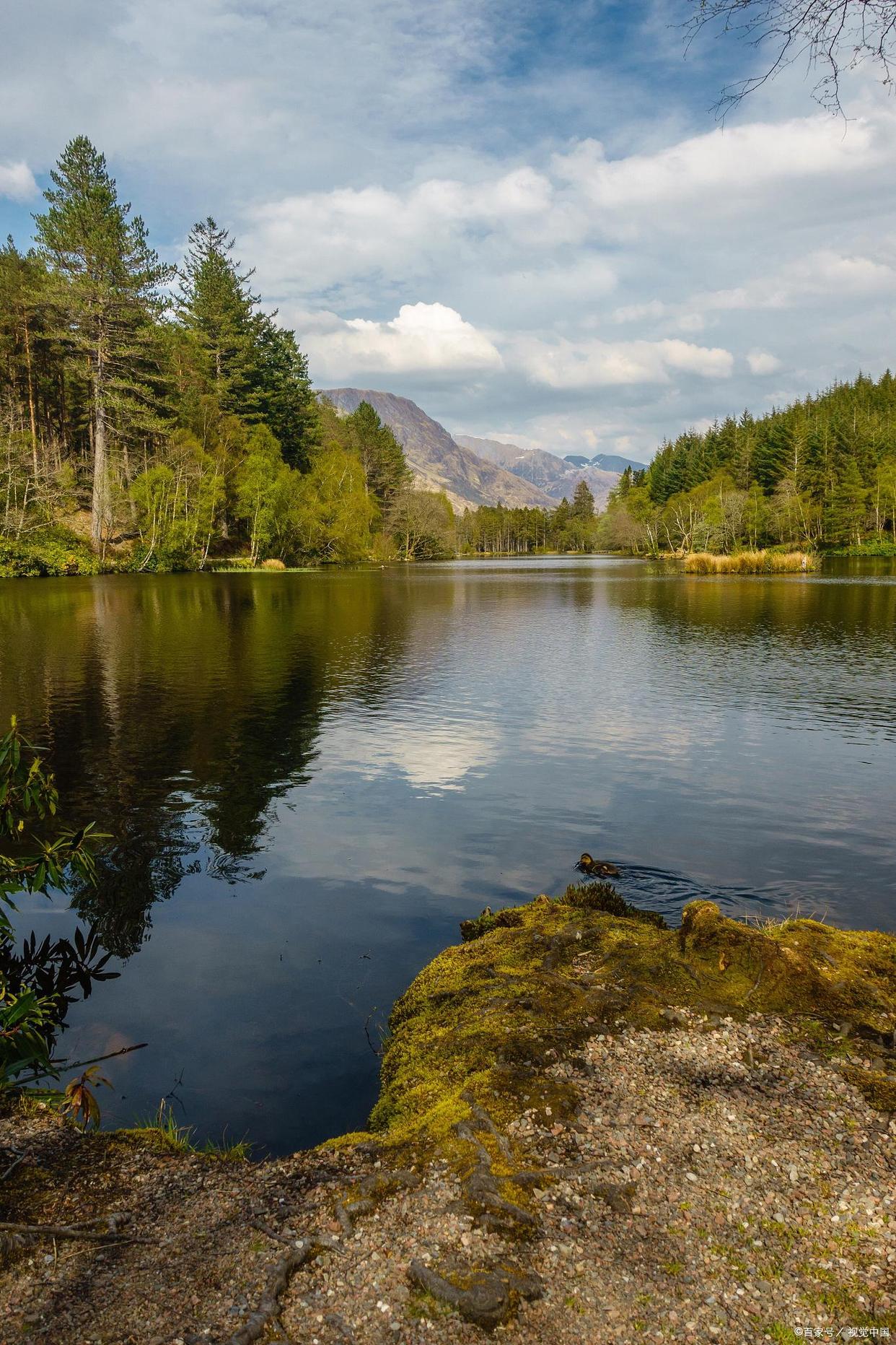 高德租的车怎么跑滴滴?高德租的公司车跑滴滴的方法