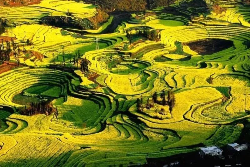 租车游玩套路,租车旅游有什么风险