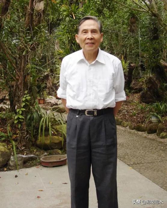 十大野生名贵兰花虎头兰,名贵兰花常见品种介绍图片