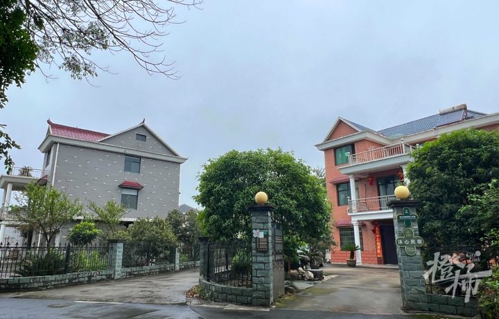 “五一”就在眼前，桂花村有点小焦虑：会有人来玩不？村里能火起来不？