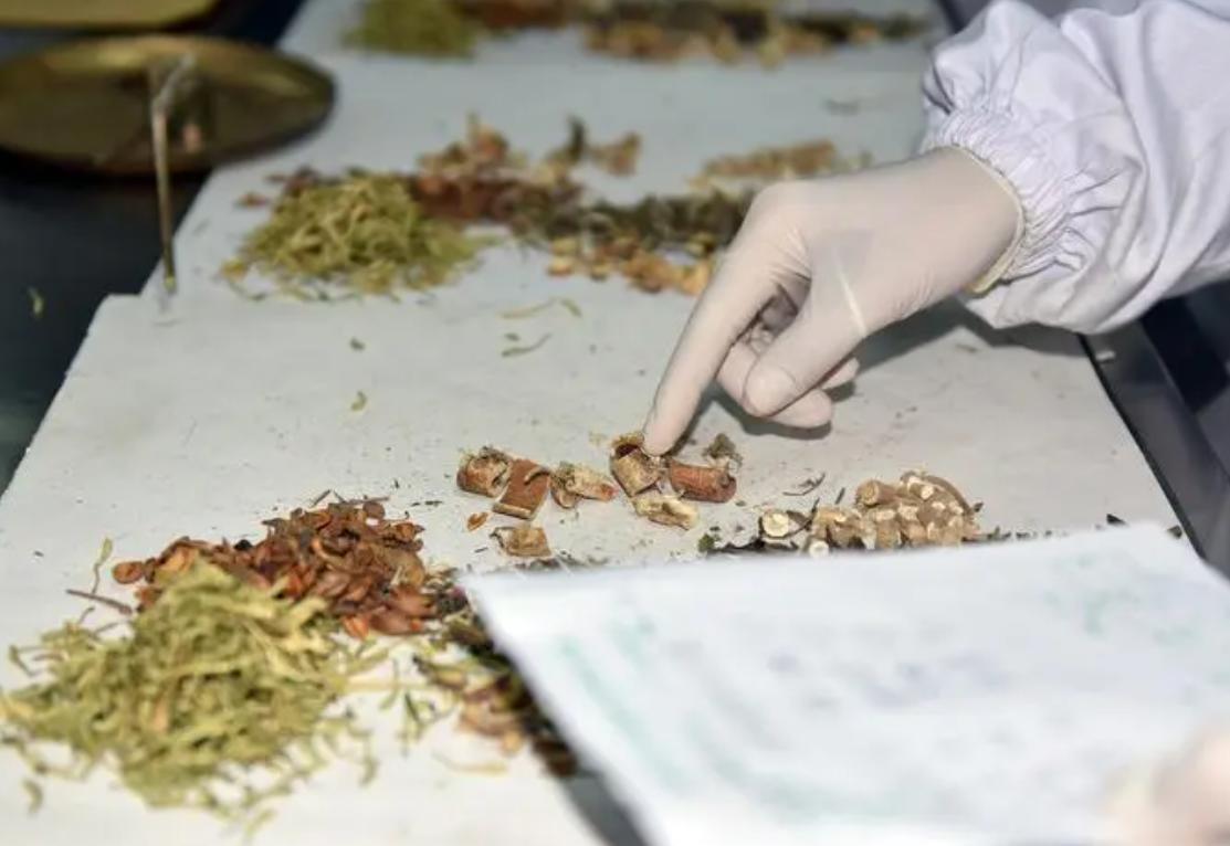 特发性膜性肾病治愈率有多高,特发性膜性肾病中医治疗指南