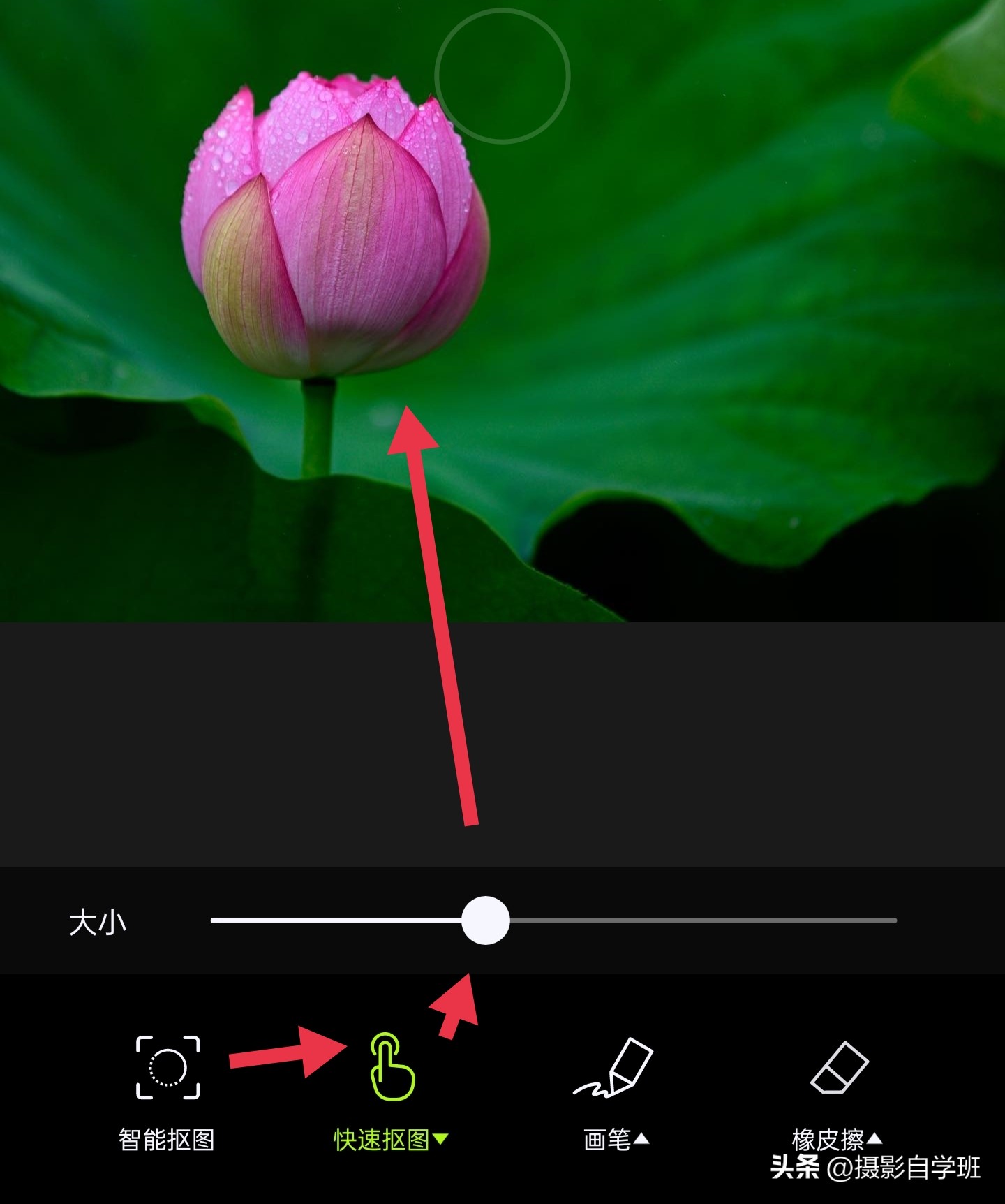 摄影后期修图教程荷花后期,手机拍摄荷花摄影师总结10个技巧