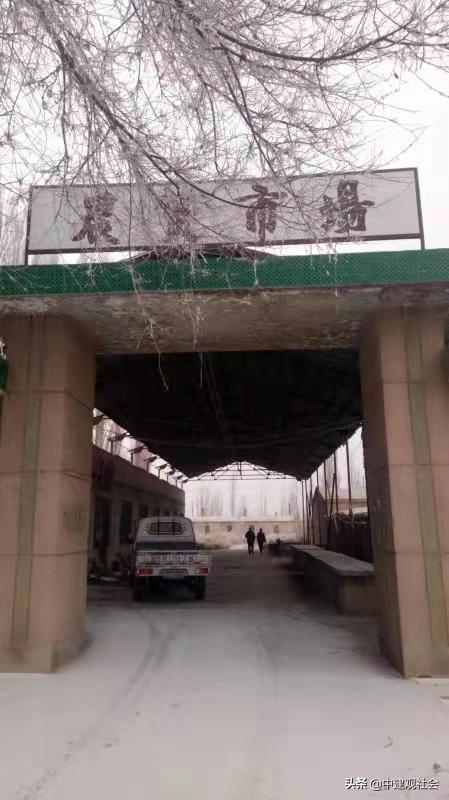 下岗了，我得发奋生活下去：一位*疆新**某兵团毛巾厂下岗职工的自述