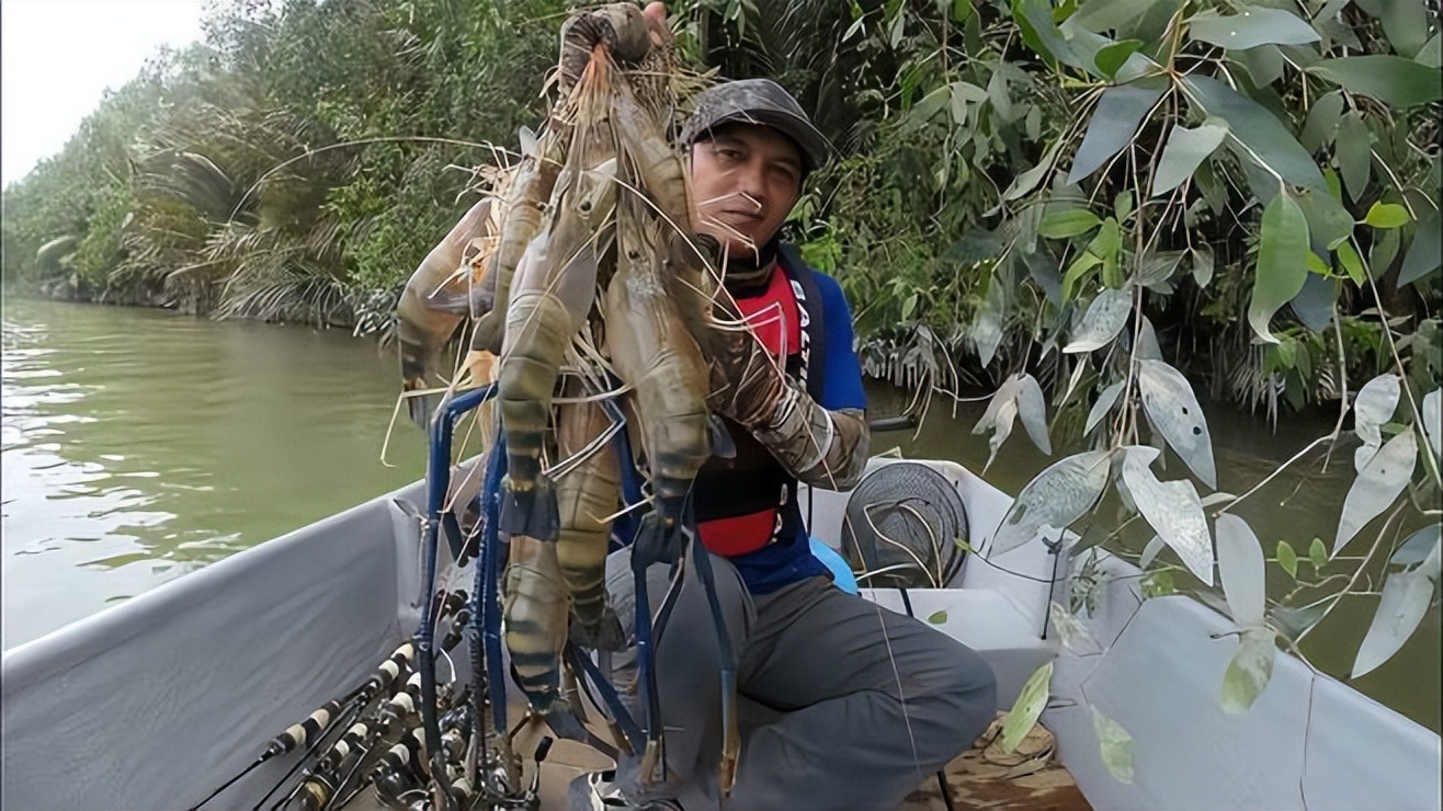 邓老师湄公河钓超大罗氏沼虾,湄公河下排钩钓罗氏沼虾
