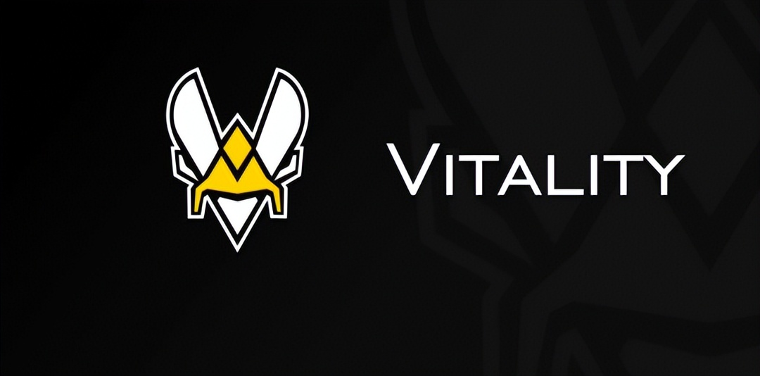 lol法国赛区第一战队,lol这个版本厉害的打野