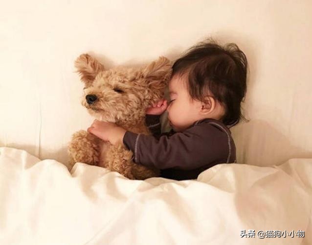 怎么挑选一只凶猛又护主人的狗,怎样挑选一只聪明又听话的狗