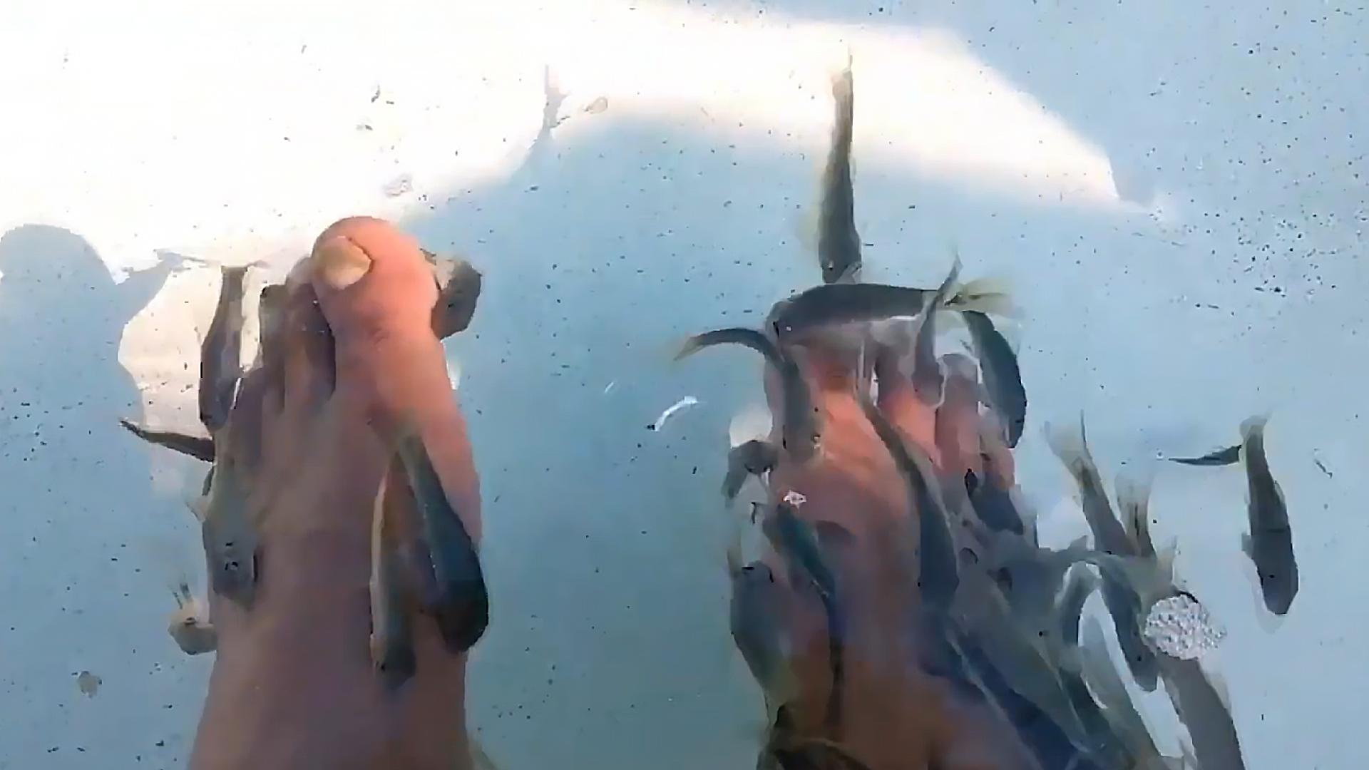 足疗小鱼真的吃死皮吗,足疗店的小鱼能吃吗