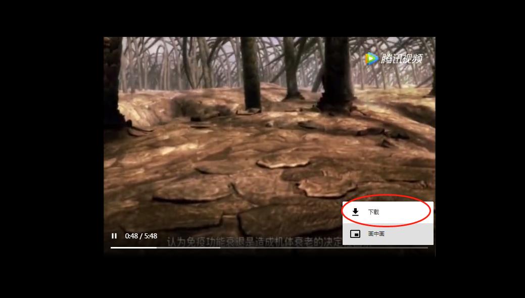 网页中的视频如何*载下**到电脑上