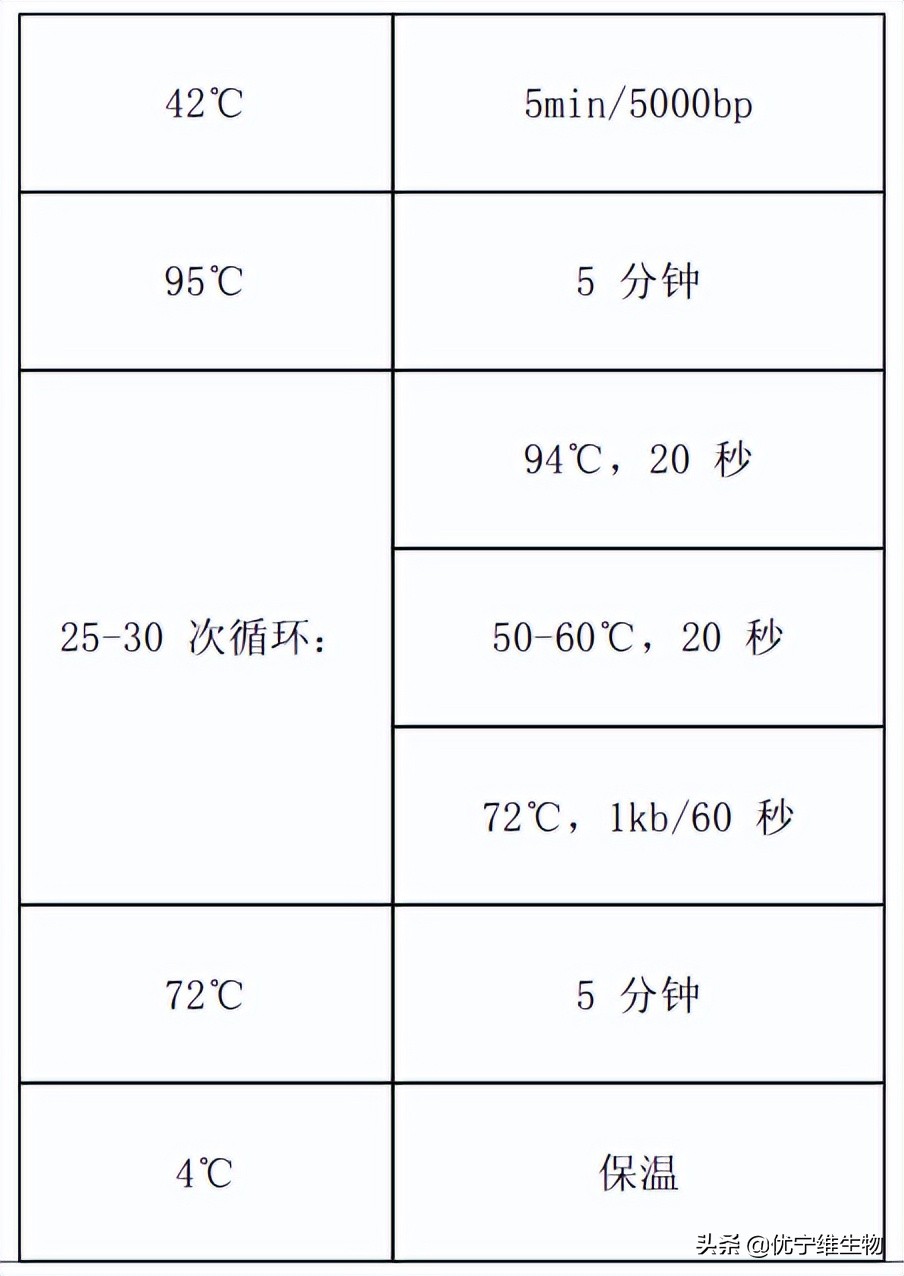 真核原核生物细胞壁,真核生物标记基因