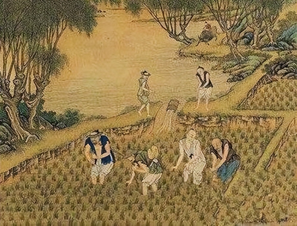 分析宋代海外贸易发达的表现,谈谈宋代海外贸易兴盛的原因