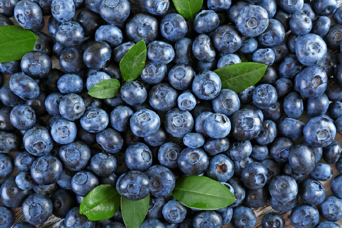 各种莓类功效,莓果类水果有哪些功效作用