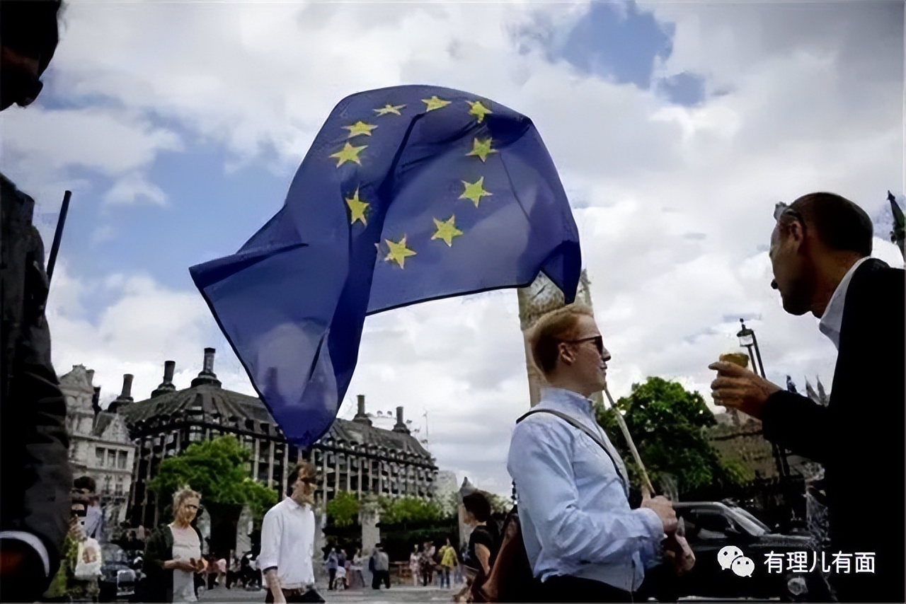 匈牙利国鸟大鸨鸟,匈牙利作为欧盟中的特立独行者