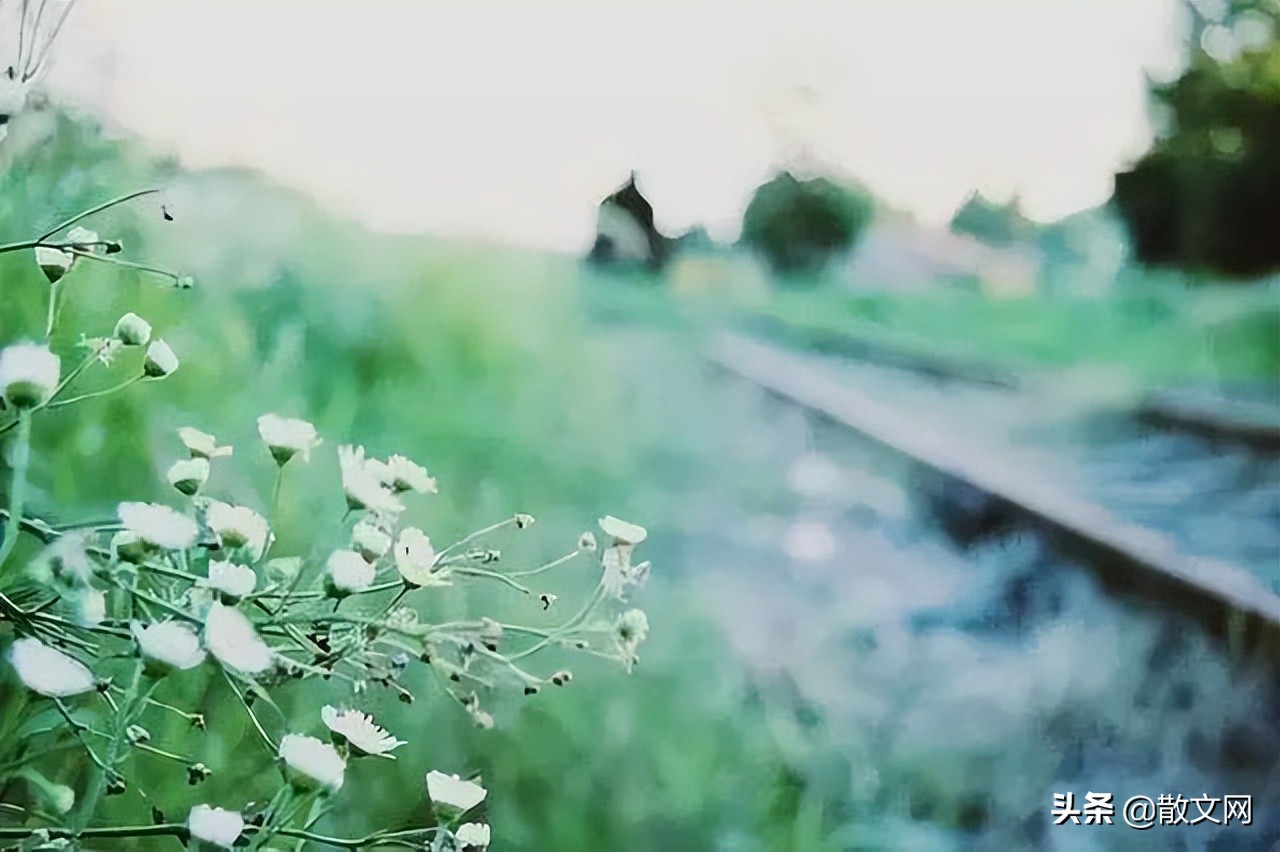 过往不恋,过往如烟