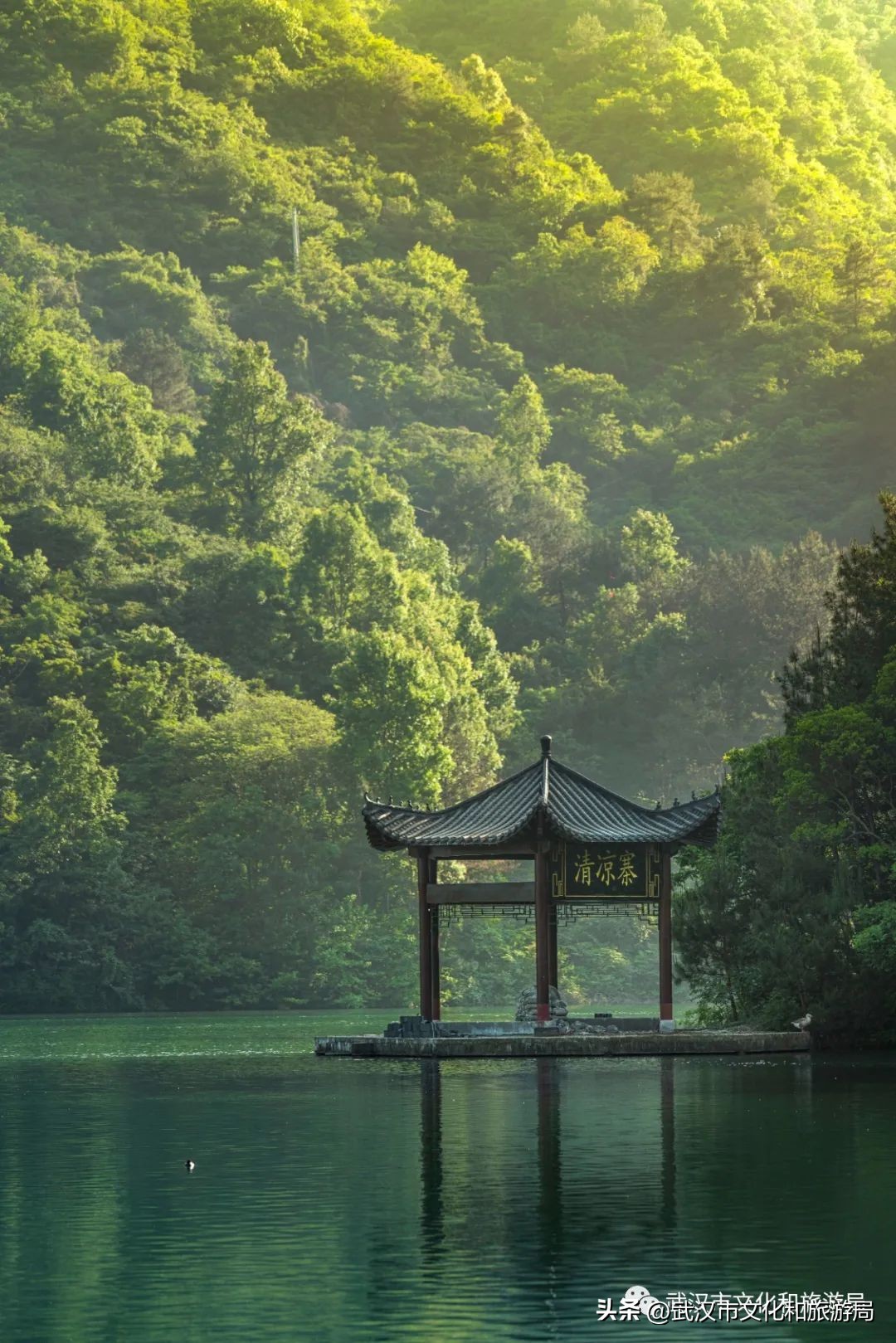 端午武汉好去处,端午看旅行全集