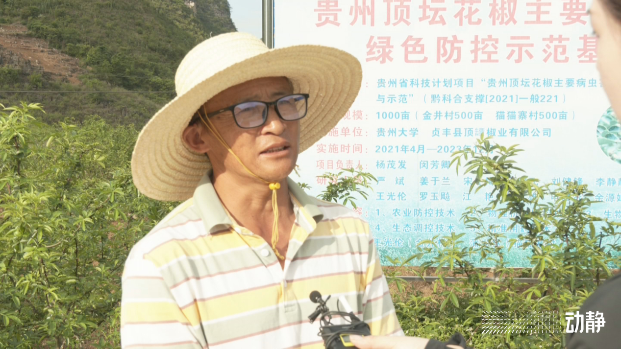 石头村的变形记,石头寨变形计