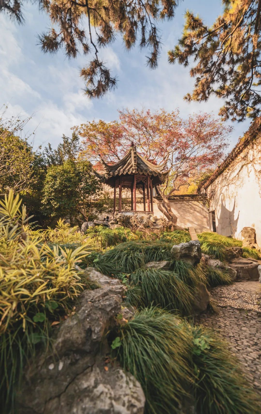 以城相见|苏州，最江南