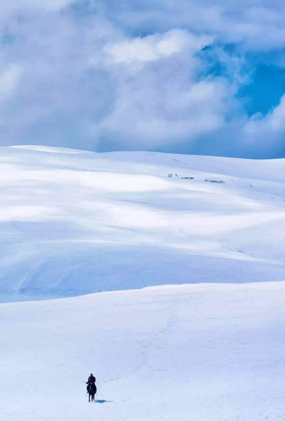 甘南什么意思,甘南县为什么叫甘南县