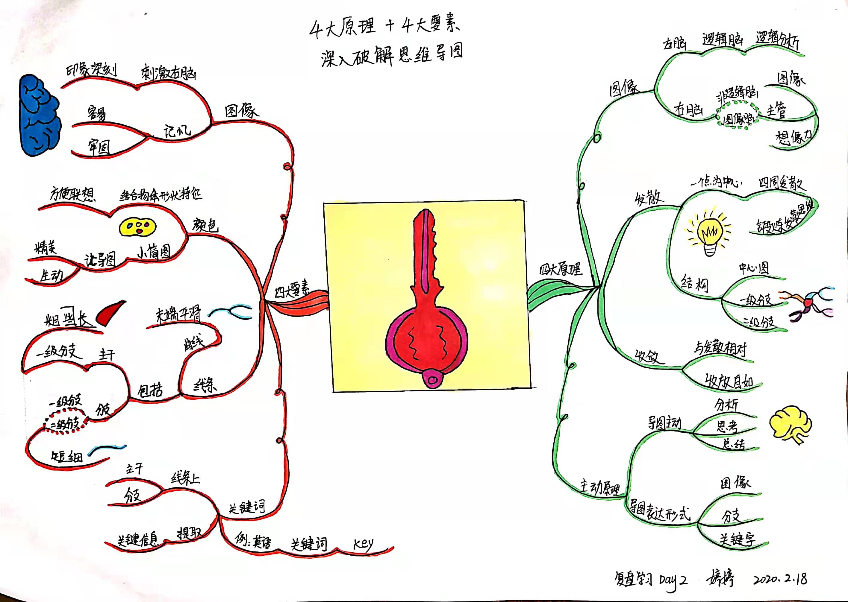 思维导图更适合大脑记忆,思维导图的优点符合大脑思维方式