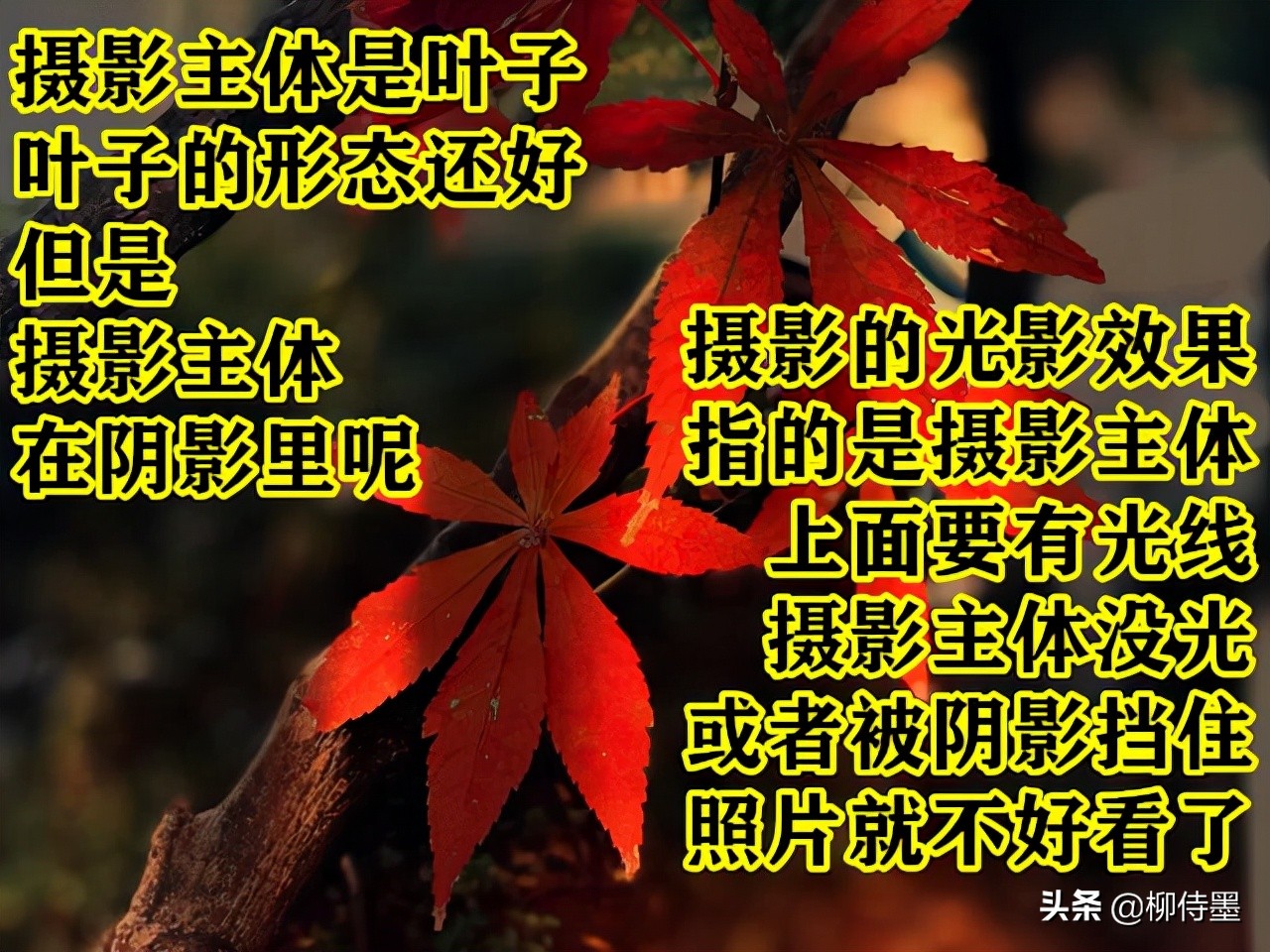 拍照不好看只要学会这些小技巧,摄影大师教你拍照技巧