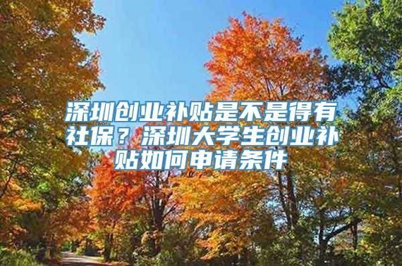 深圳自主创业补贴政策2023条件,深圳第十批自主创业补贴