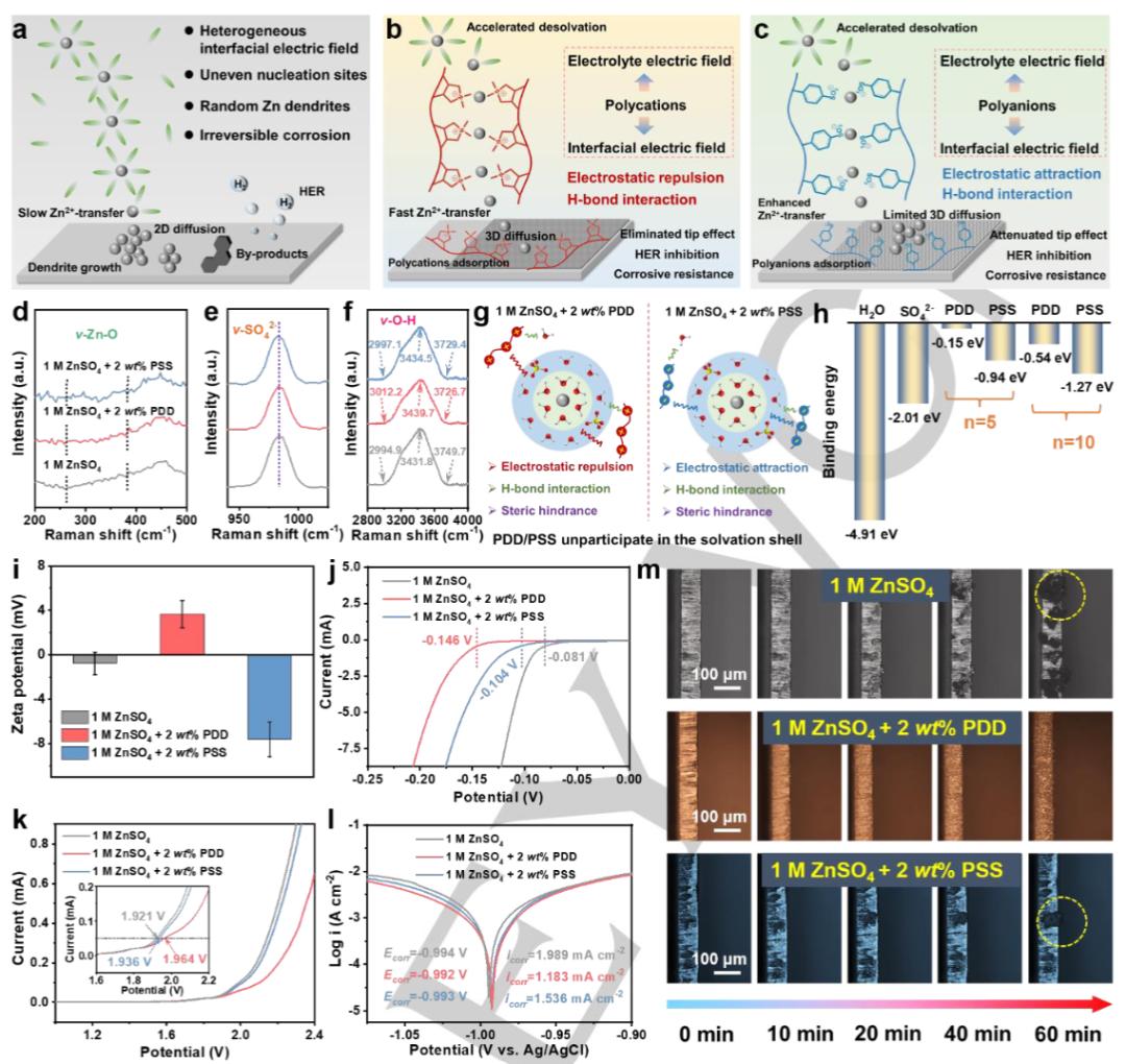 南昌大学陈义旺院士团队:聚阳离子添加剂
