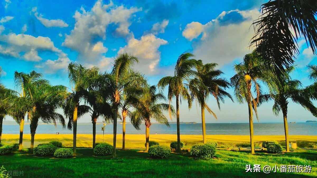 厦门岛外必到十大景点,带小孩去厦门旅游十大必去景点