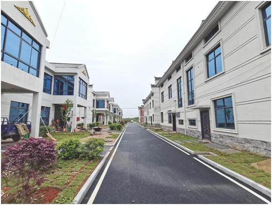 渝水区乡村治理,渝水区农村规划