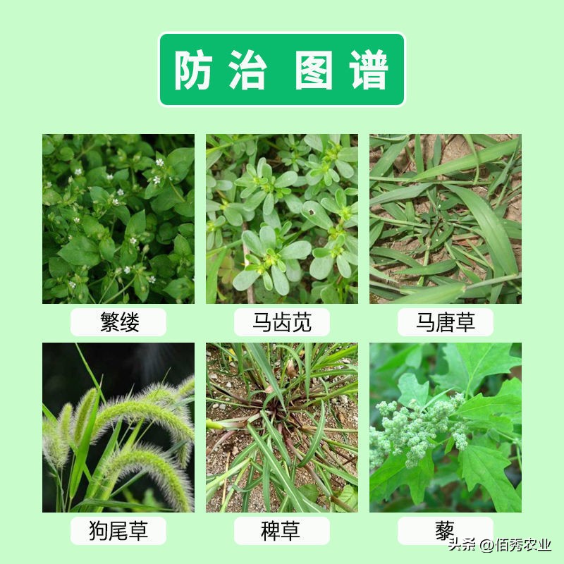 农药降价最新消息,农药降价原因