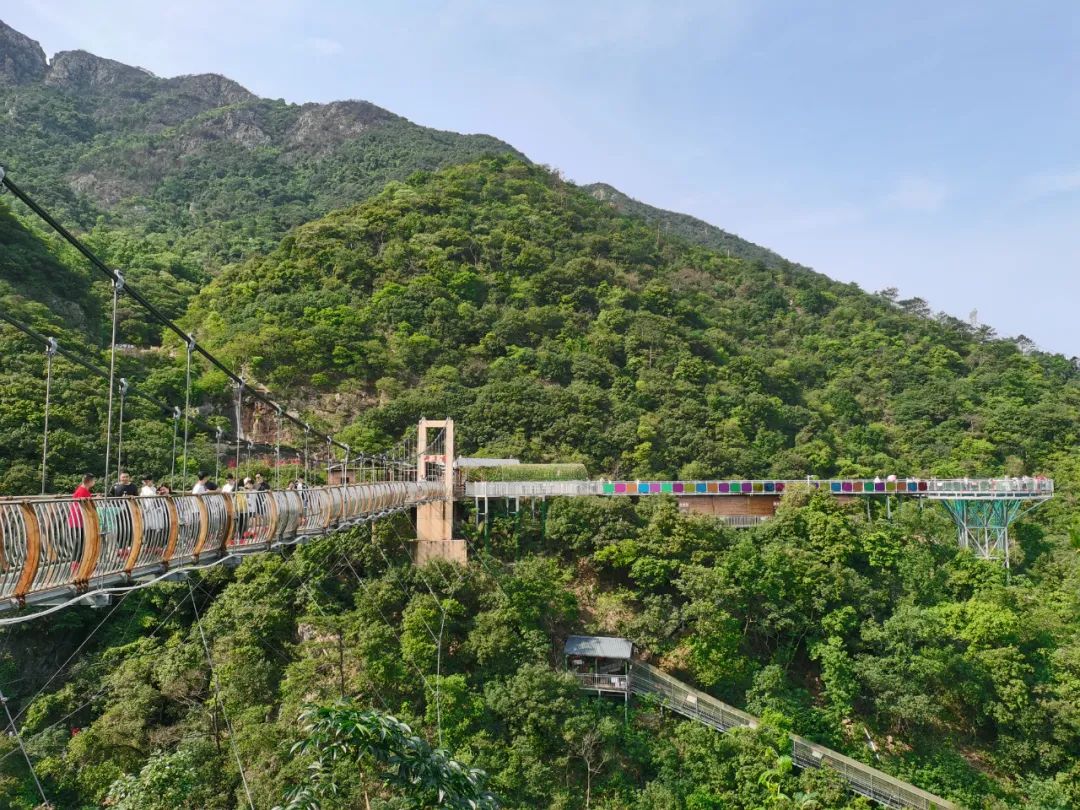 旅游年卡飞熊乐园,水上乐园年卡团购限几人