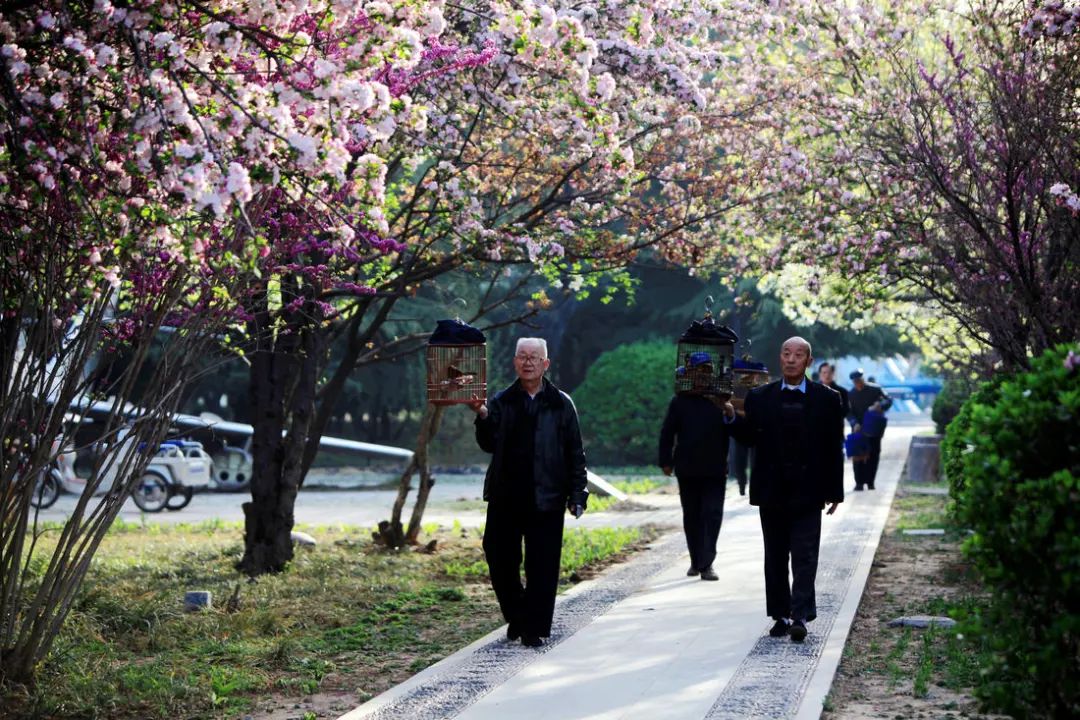 我爱我的家乡滨州市,我的家乡在滨州的作文