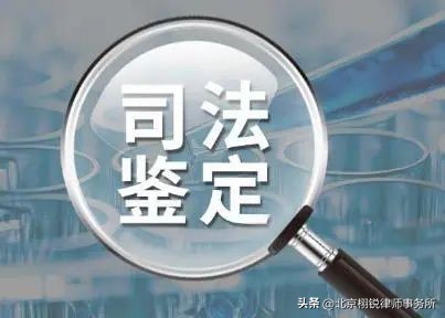 做司法鉴定需什么材料,司法鉴定需要哪些材料
