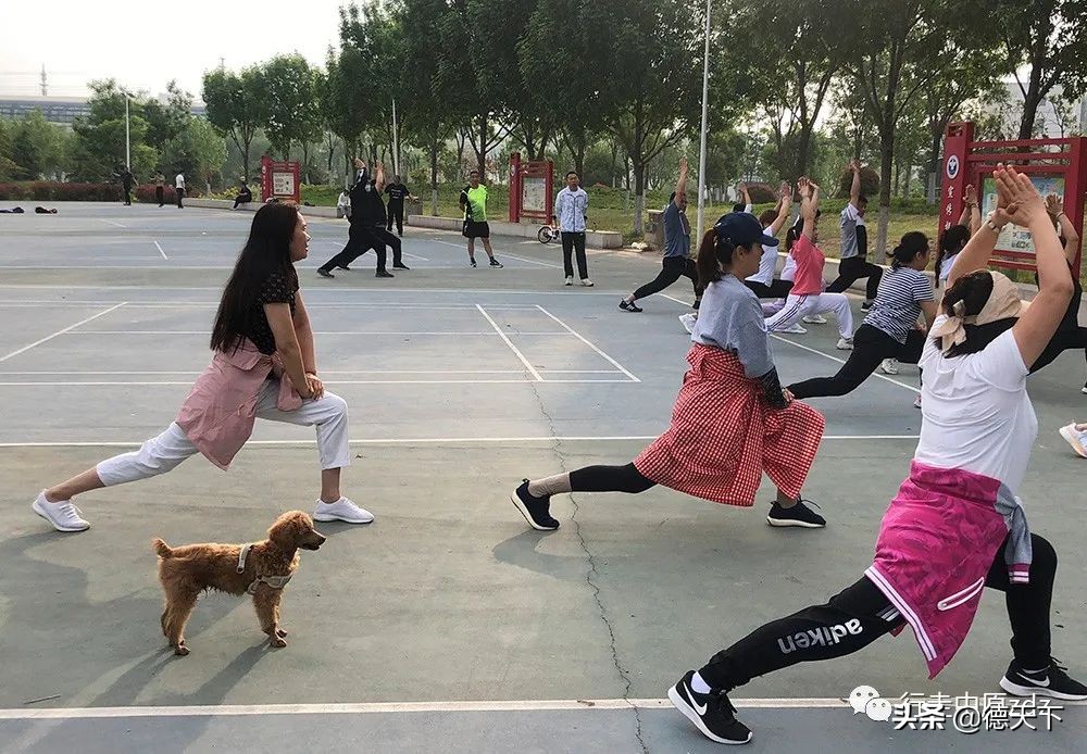 关于照相机的科普,关于照相机的动画