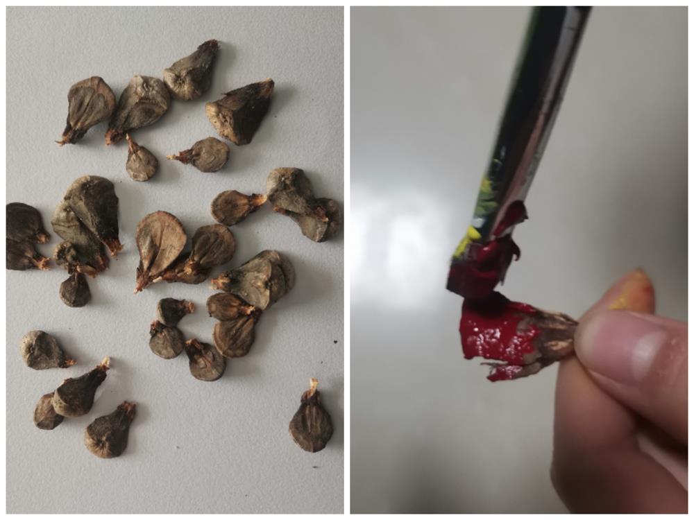 助力战“疫”·文化先行‖白银市博物馆线上亲子活动——创意“彩”陶装饰画